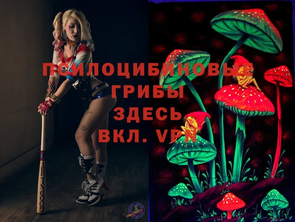 спайс Белокуриха