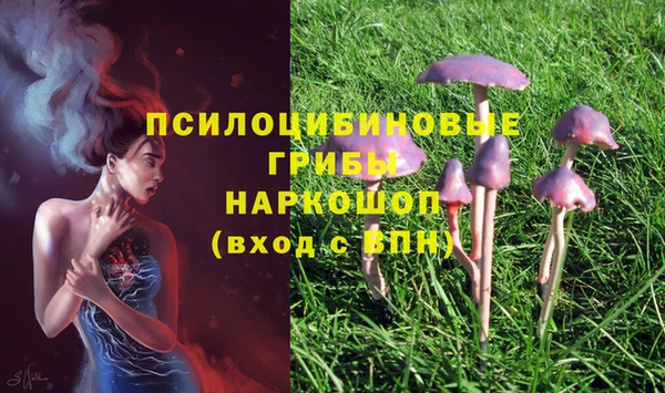 прущий лед Беломорск
