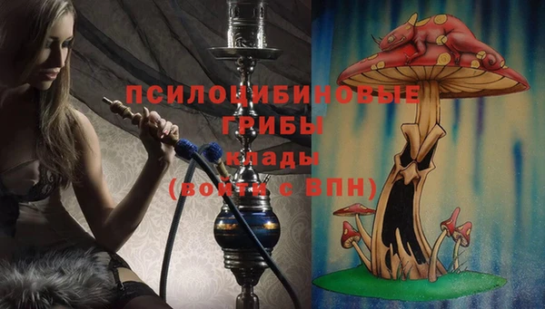 дурь Белоозёрский