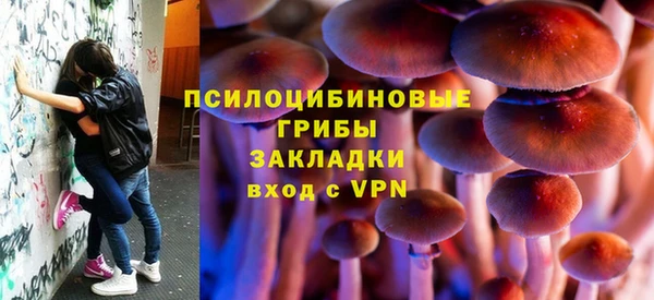дурь Белоозёрский