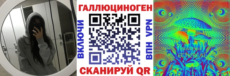 Галлюциногенные грибы Psilocybine cubensis Мончегорск